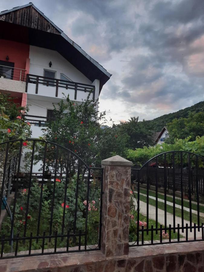Apartamento Casa Lica Caciulata Exterior foto