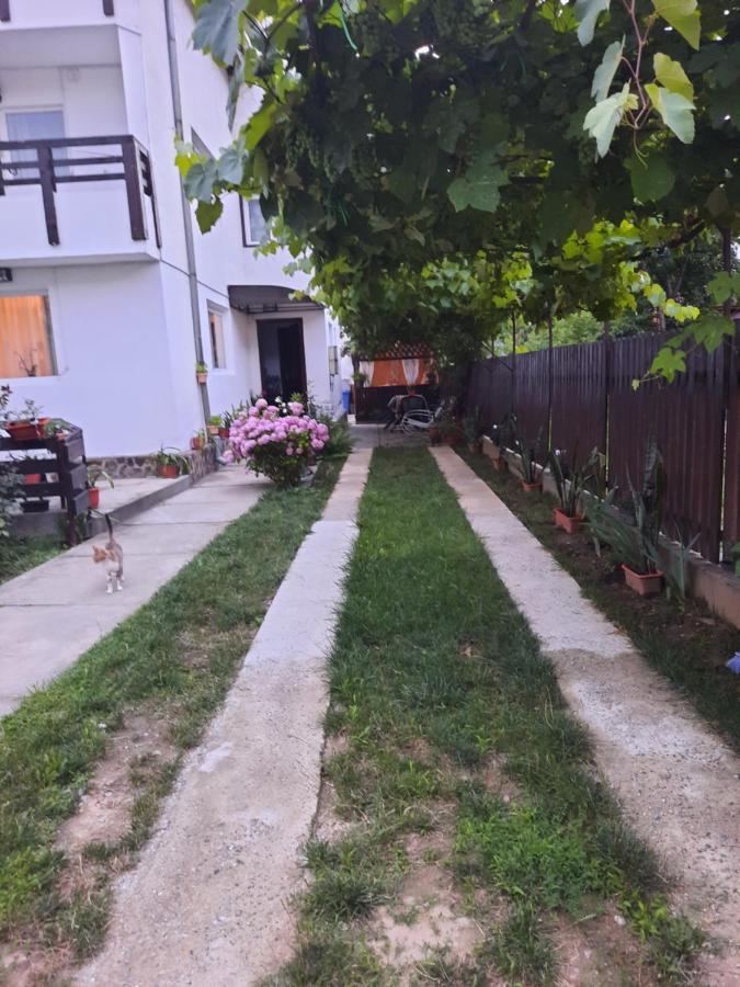 Apartamento Casa Lica Caciulata Exterior foto